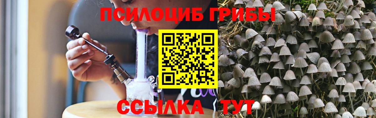 Алексеевка  Псилоцибиновые грибы MAGIC MUSHROOMS  Вход с VPN 
